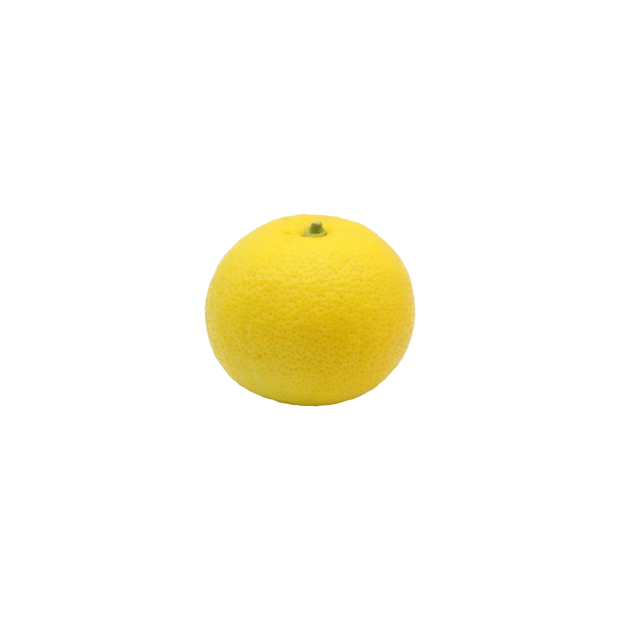 Fresh Kabosu - Image 5
